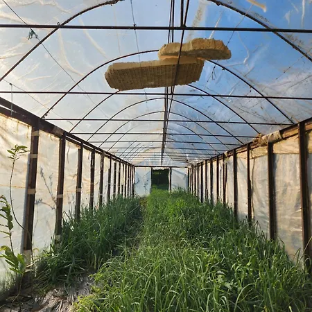 Πανσιόν Agroturizem Devin