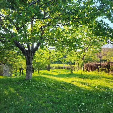 Agroturizem Devin Maison d'hôtes
