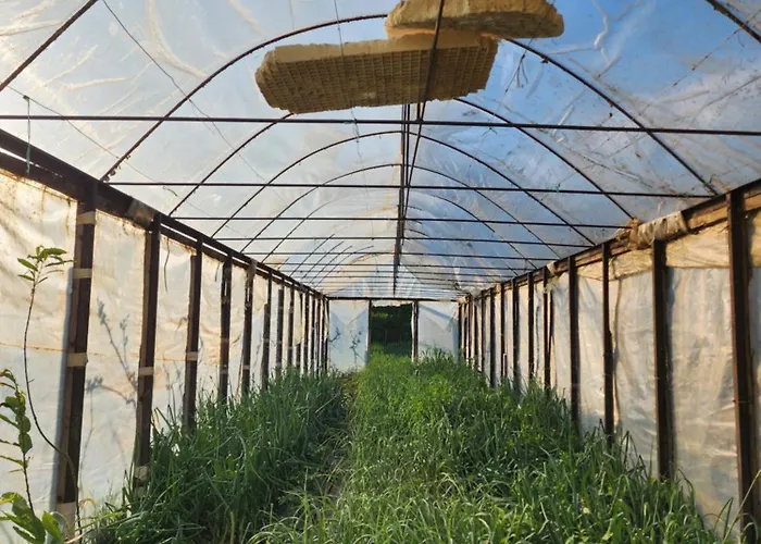 Pensjonat Agroturizem Devin