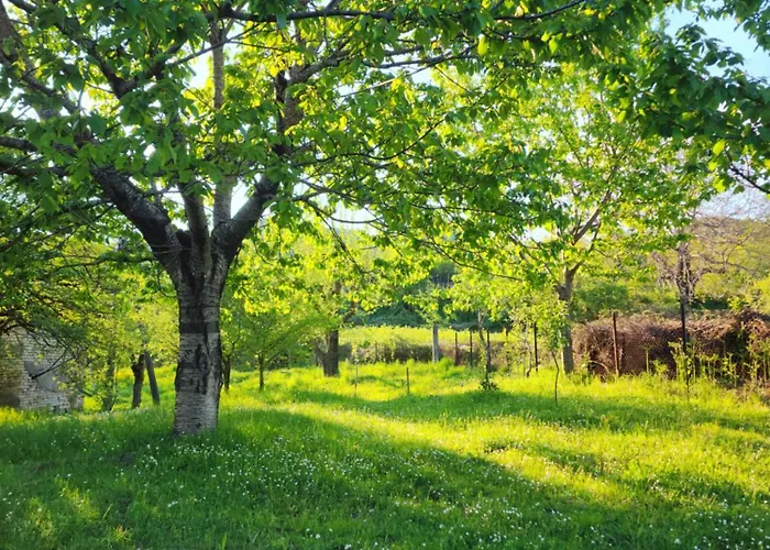 Agroturizem Devin Pensjonat