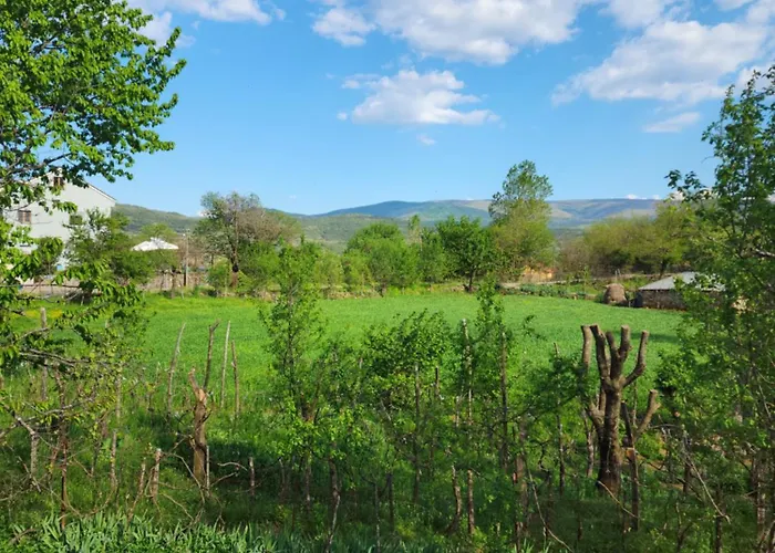 Agroturizem Devin Pensjonat